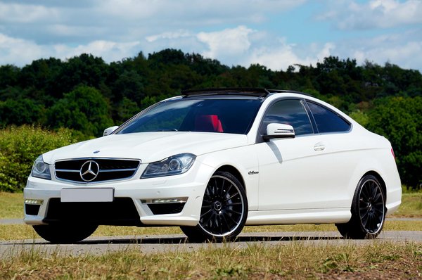 How Do UK Pets Impact Mental Health and Well-being?